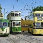 Hvilke andre funktioner kan en planterullevogn have udover transport af planter?