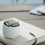 Kan jeg tilføje ekstra hylder til min planterullevogn?