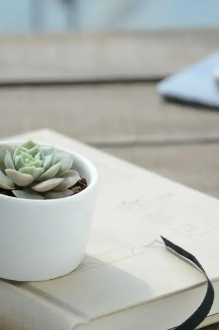 Kan jeg låse mine planter fast på min planterullevogn?